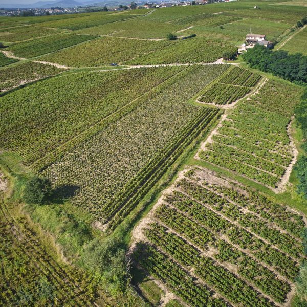 Domaine de Bel-Air, Vins du Beaujolais, 
